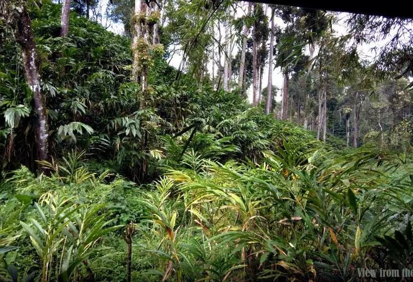 ホテル Mist Nest Cottages Munnar