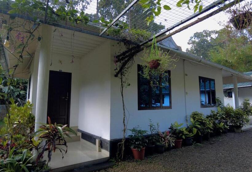 Hotelli Mist Nest Cottages Munnar