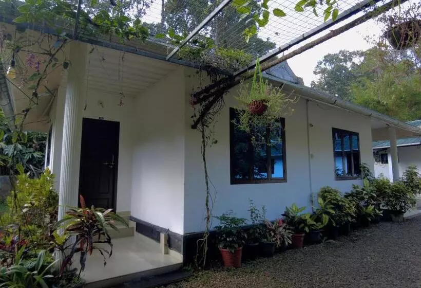 ホテル Mist Nest Cottages Munnar