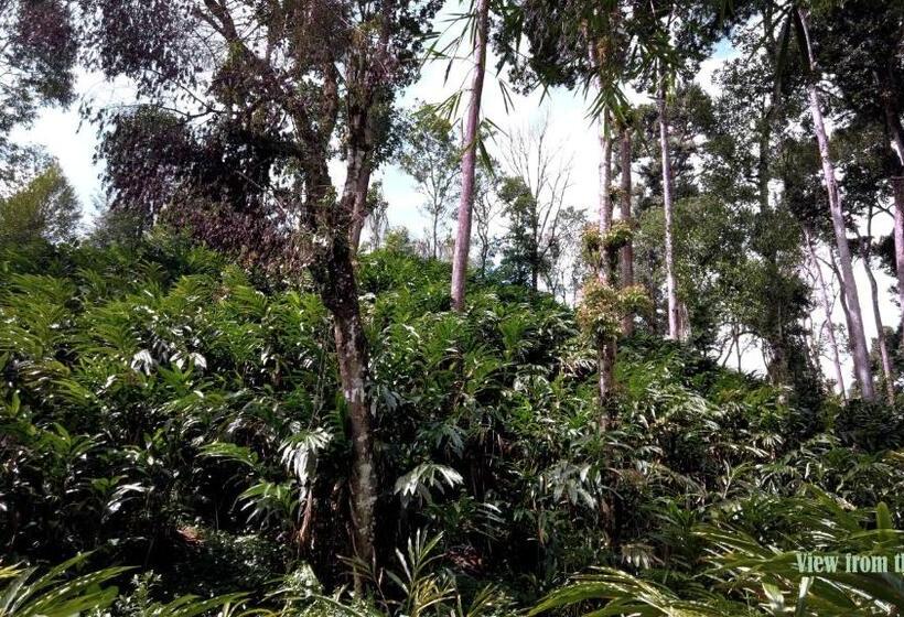 Hotelli Mist Nest Cottages Munnar