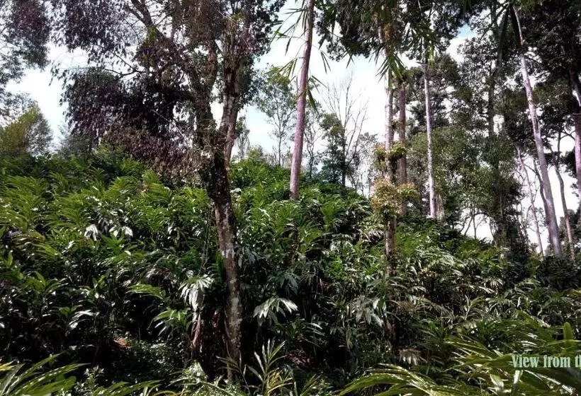 ホテル Mist Nest Cottages Munnar
