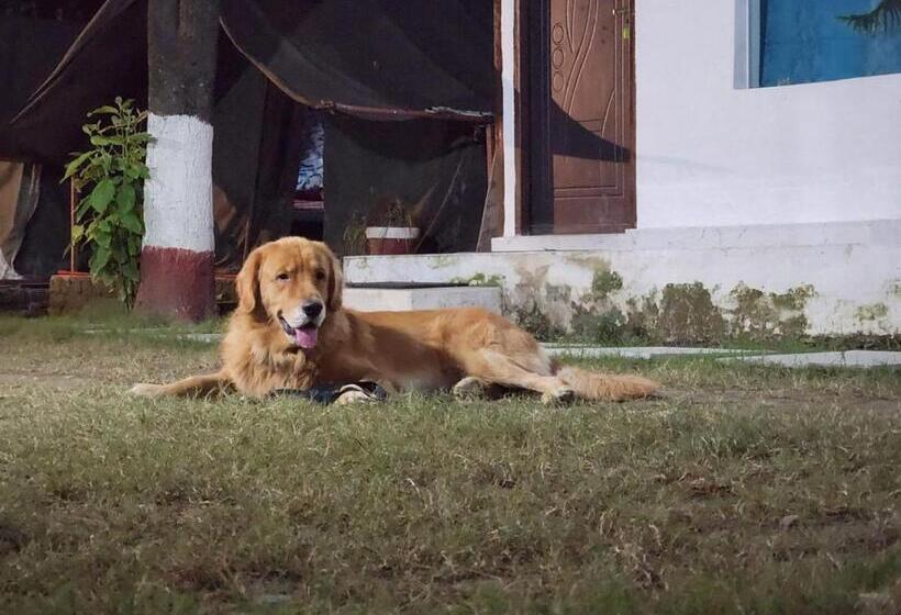 Hotelli One 2 One Resort