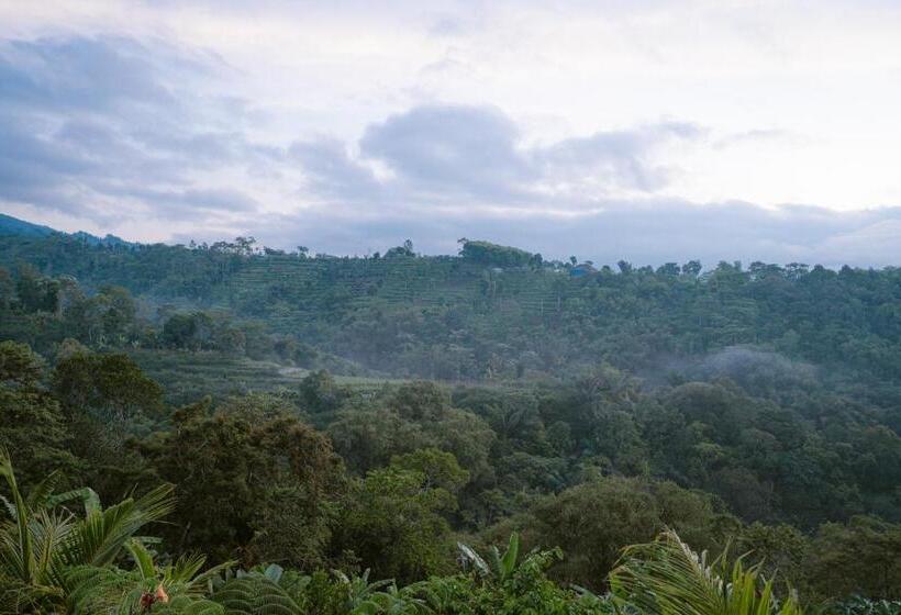 酒店 The Green Ponci Bedugul