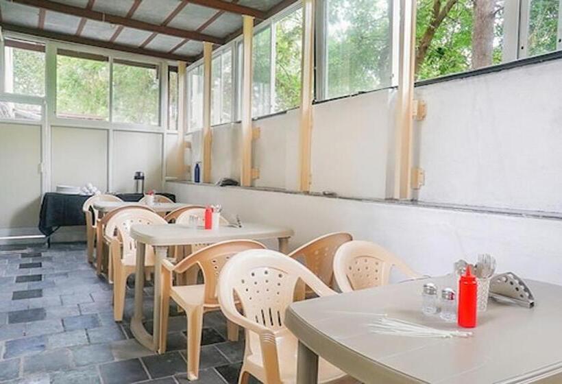 Отель The Pearl Inn