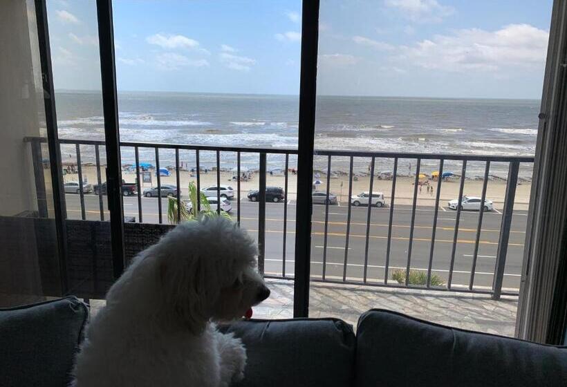 Amazing And Spectacular Beach Views In Galveston