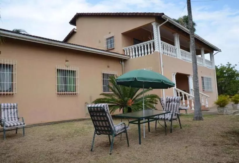 تختخواب و صبحانه Palm Tree Guest House