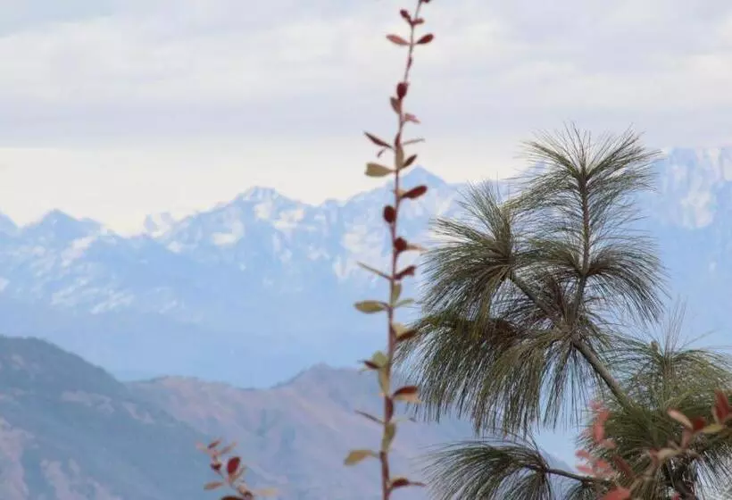 Chakrata Sky Hills Resort & Restaurant