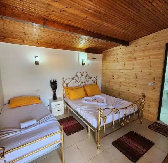 ホテル Bujtina Syni Zi Keshtjella   Shengjin