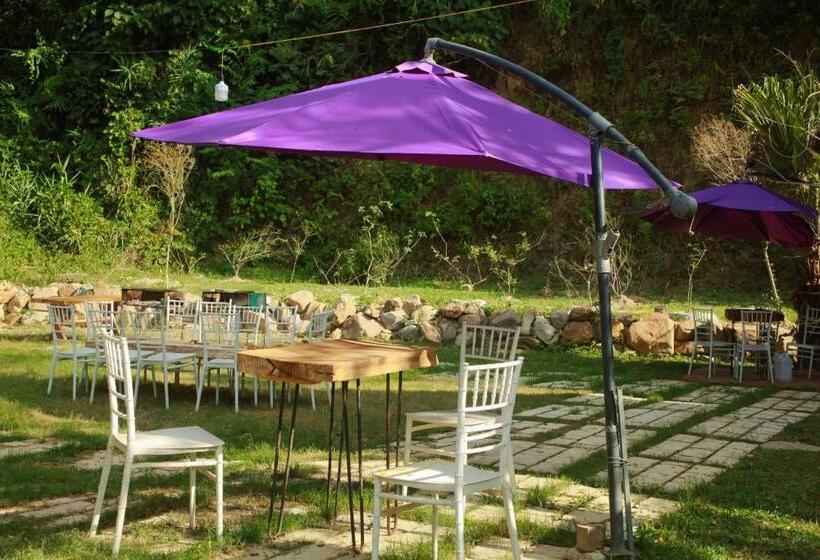 هتل Eco Rose Homestay