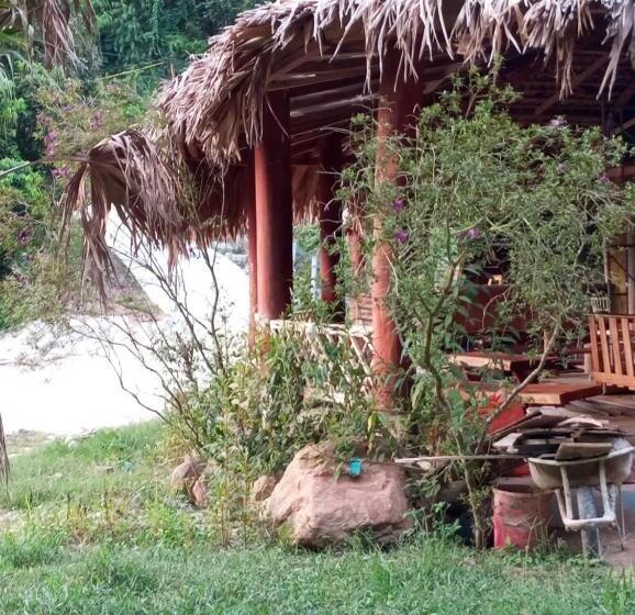 هتل Eco Rose Homestay