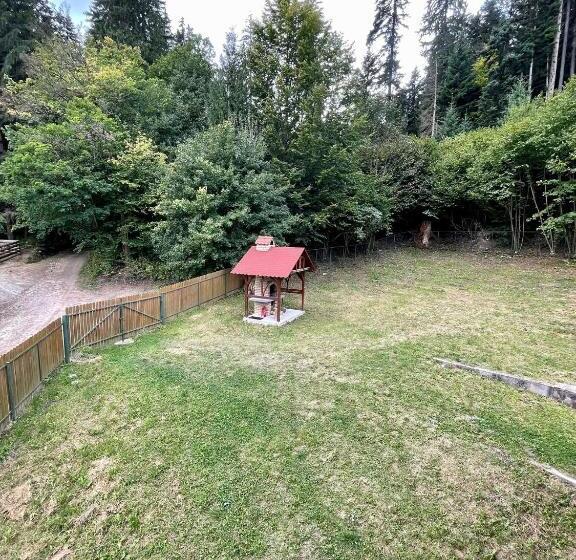 پانسیون Casa Fenyves Vendégház