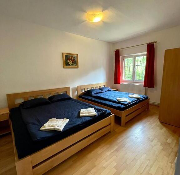 پانسیون Casa Fenyves Vendégház