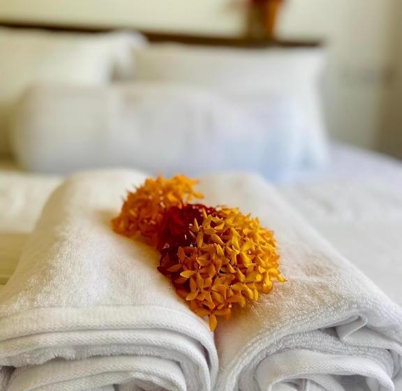 بنسيون Jungle Beach Inn