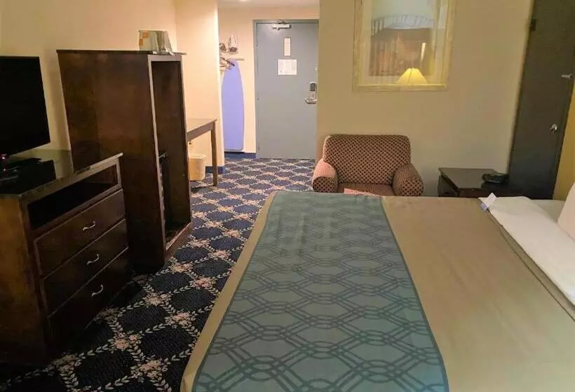 ホテル Dominion Inn & Suites