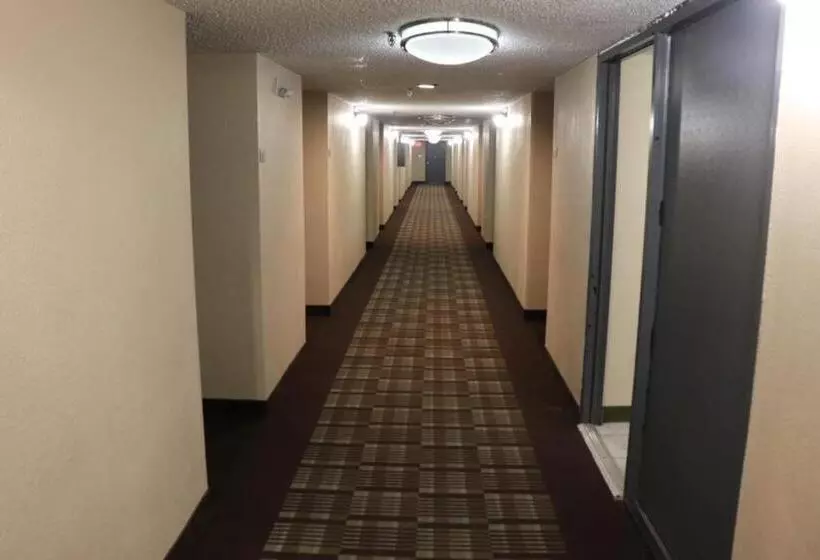 ホテル Dominion Inn & Suites