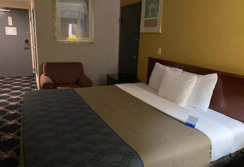 ホテル Dominion Inn & Suites