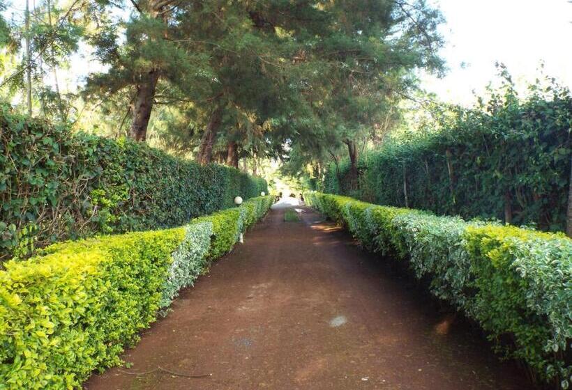 هتل The Gems Resort