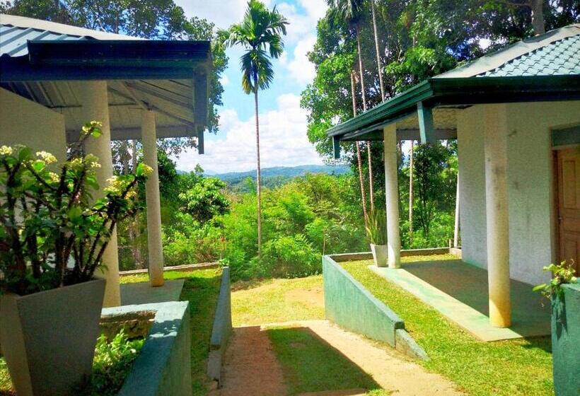 Отель Warmy Treat