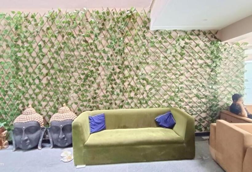 Hotel White House In