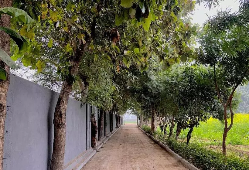 ホテル Willow Woods Farmhouse By Bedchambers Gurgaon