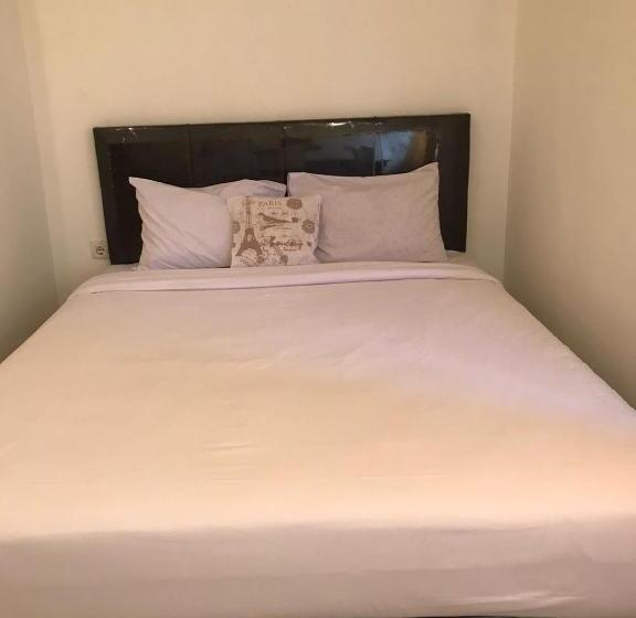 بنسيون Aeena Village