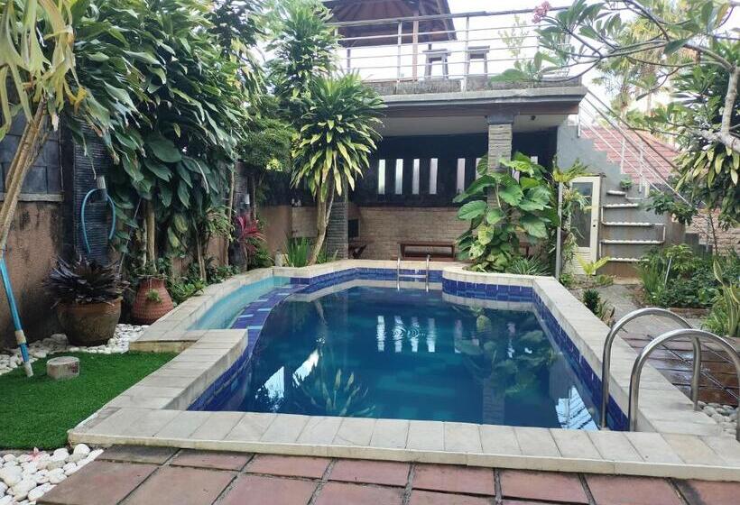 بنسيون Aeena Village