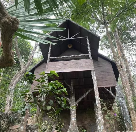 リゾートホテル Panchavadi Farm Stay