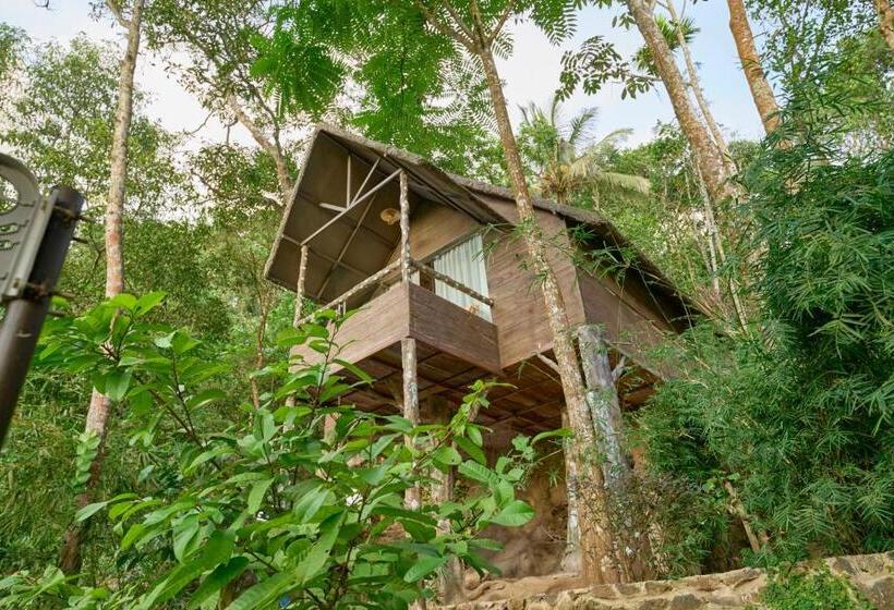 אתר נופש Panchavadi Farm Stay