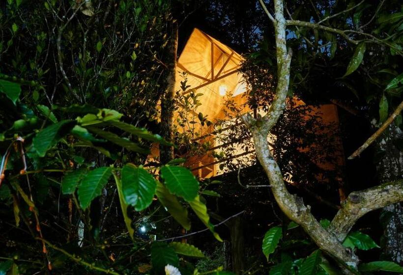 אתר נופש Panchavadi Farm Stay