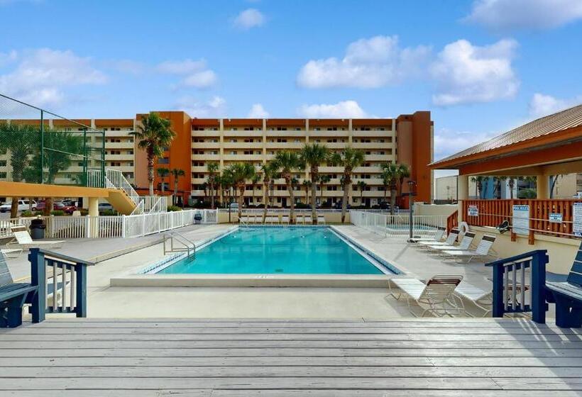 فندق Surf Dweller 211