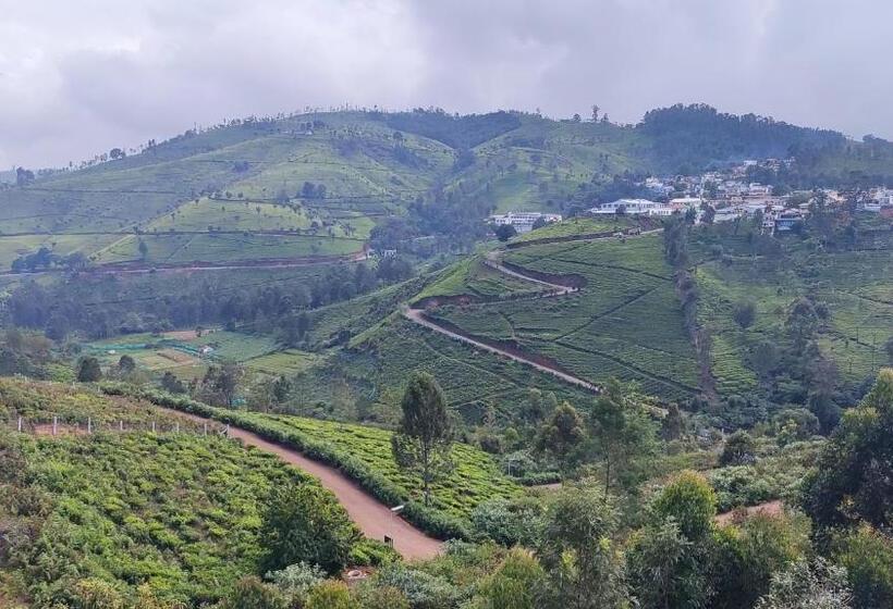 Misty 39 Hills View Resorts