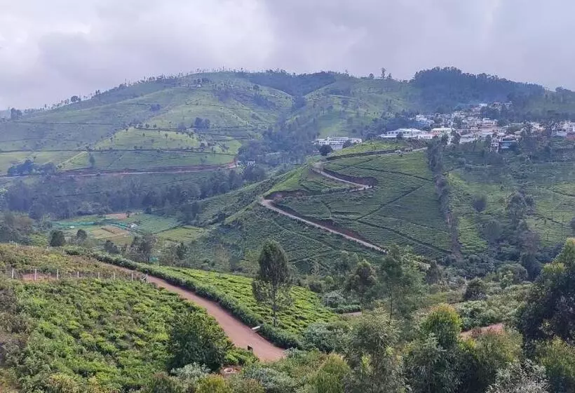 Misty 39 Hills View Resorts
