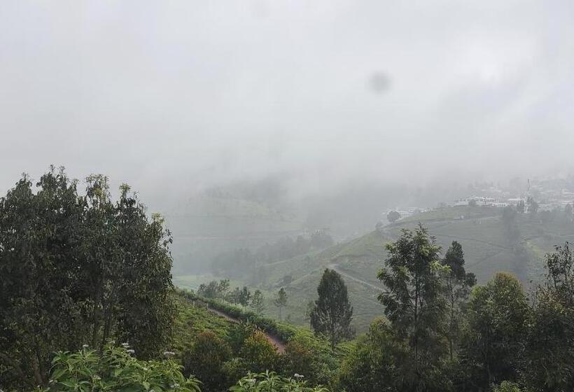 Misty 39 Hills View Resorts