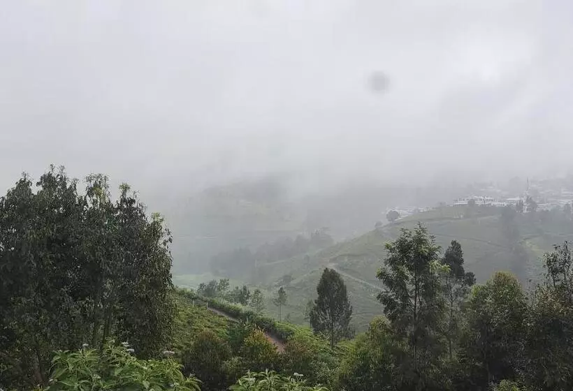 Misty 39 Hills View Resorts
