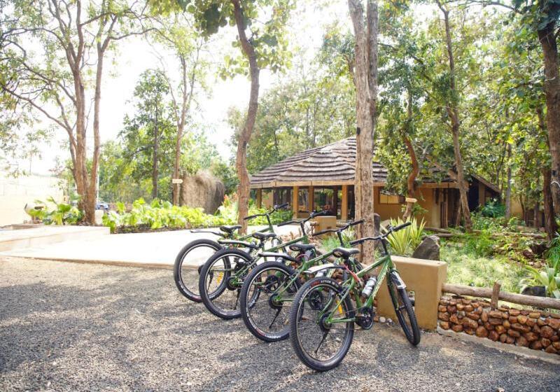 Resort The Jungle Brook