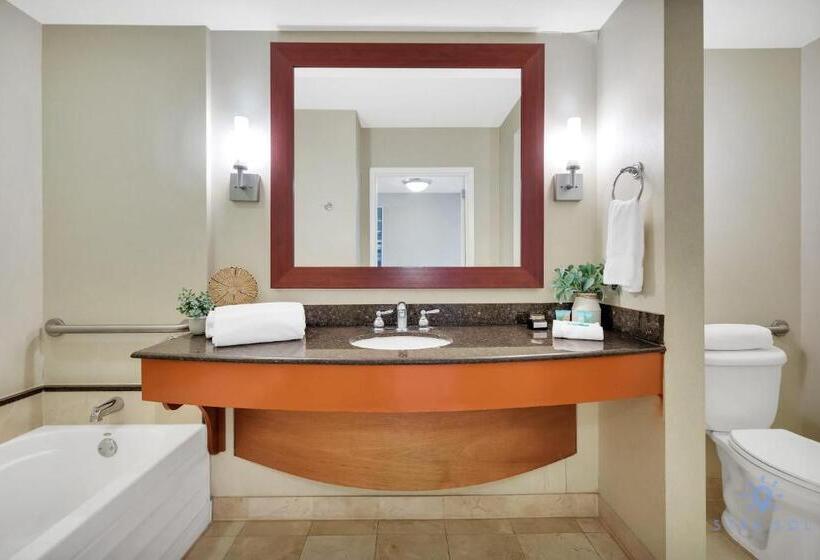 旅馆 Sunny Isles Bayfront: Deluxe Studio Retreat