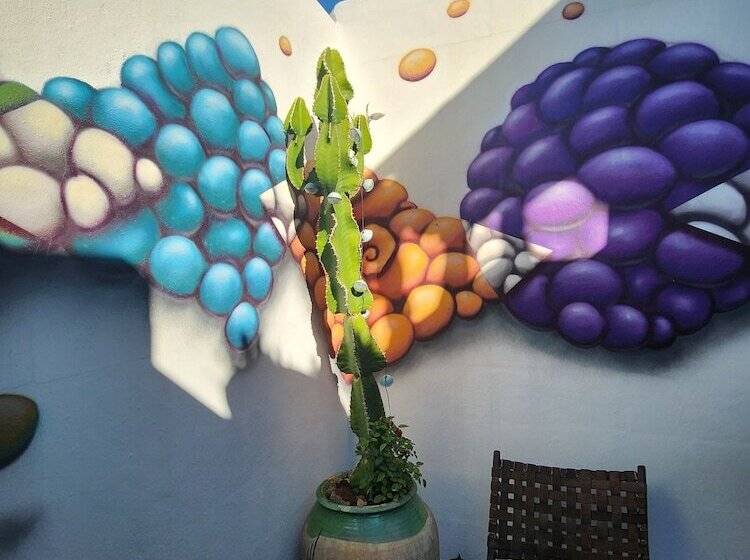 تختخواب و صبحانه Casa Salvia Guesthouse Icod