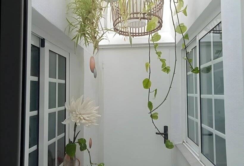 تختخواب و صبحانه Casa Salvia Guesthouse Icod