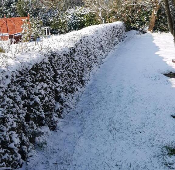 Bed and Breakfast Renard Retreat