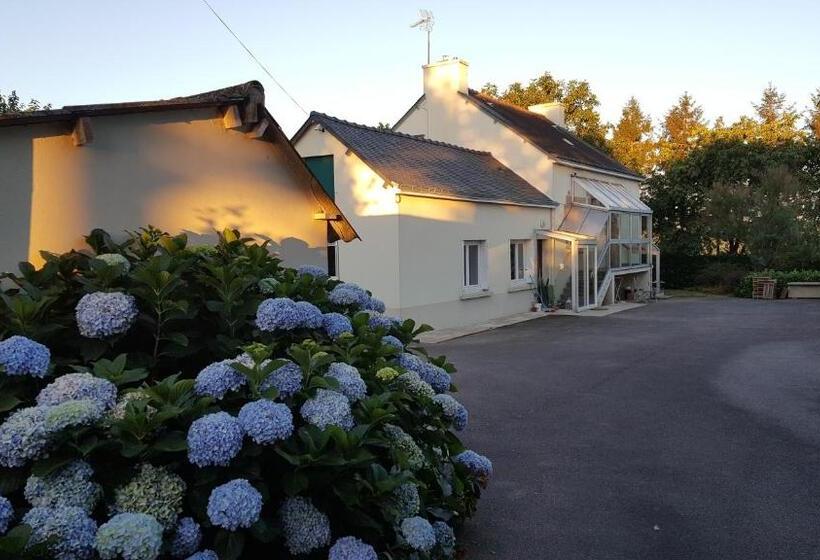 Bed and Breakfast Renard Retreat