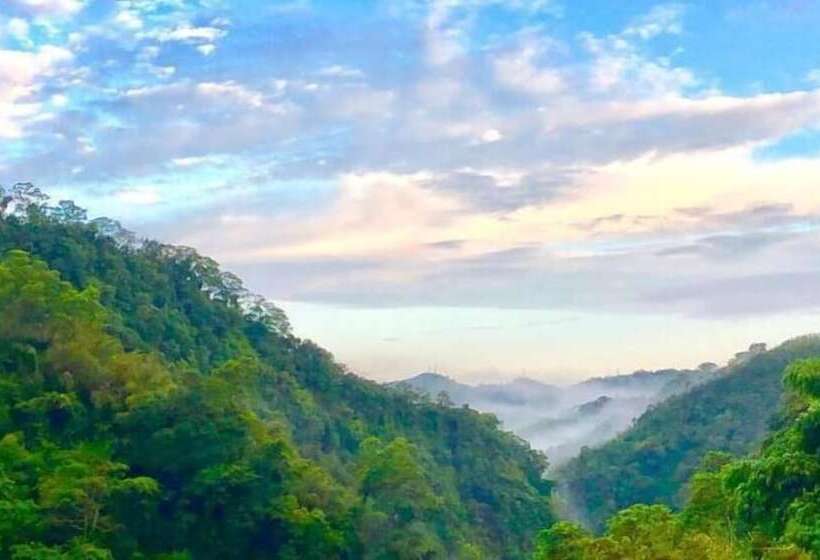 تختخواب و صبحانه Sunlight Forest