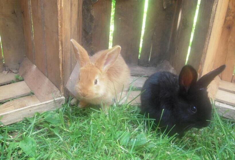 Отель Agritur Widmann