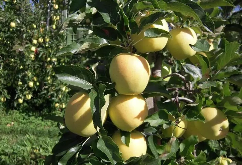 ホテル Agritur Widmann