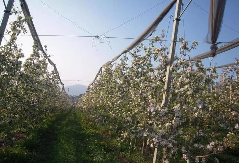 ホテル Agritur Widmann