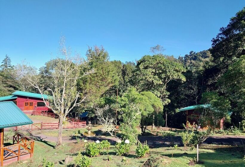 Отель Curuba Lodge