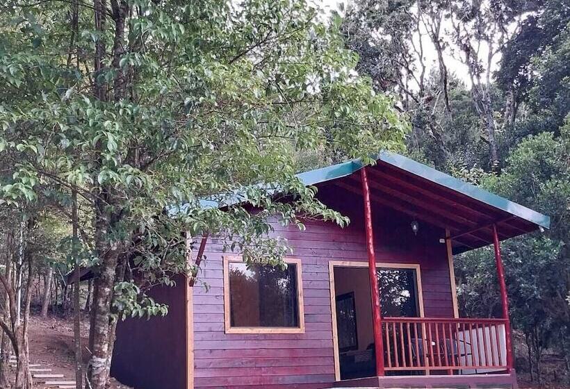 Отель Curuba Lodge