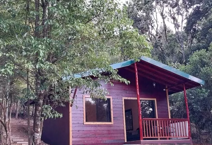 Hotelli Curuba Lodge