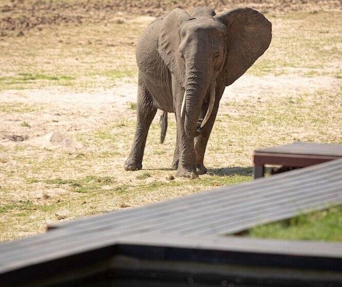هتل Shawa Luangwa Camp