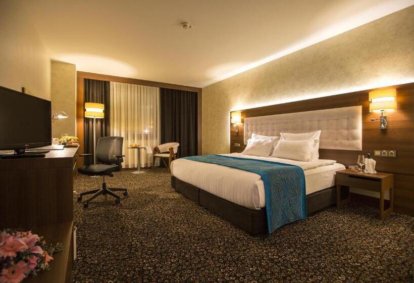 هتل Teymur Continental