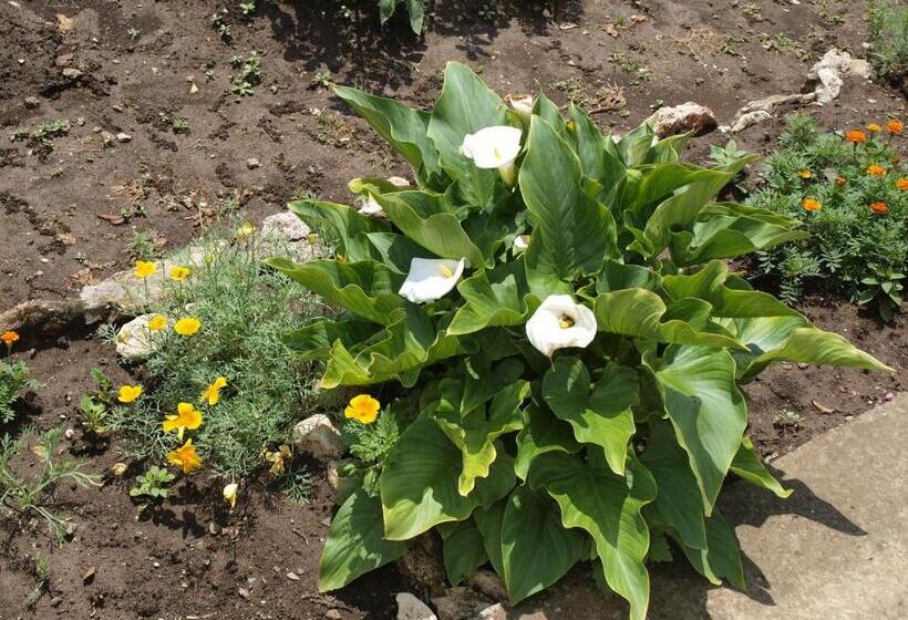 پانسیون Guest Rooms Kamberovi